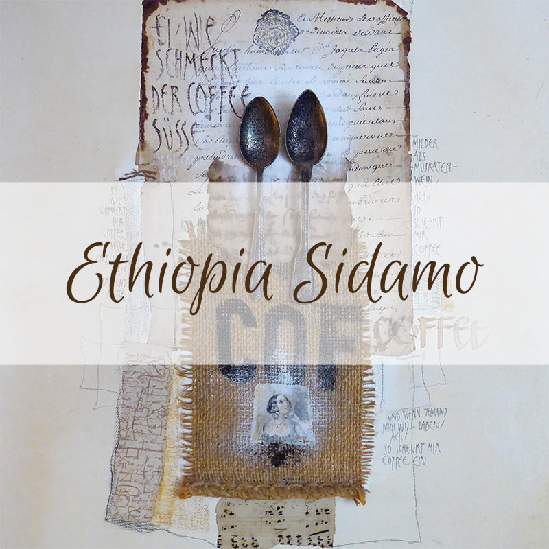 Ethiopia Sidamo, Coffee & More Staufen Bohnen 0,5 kg